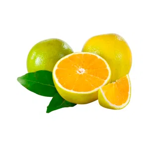 Laranja Pêra