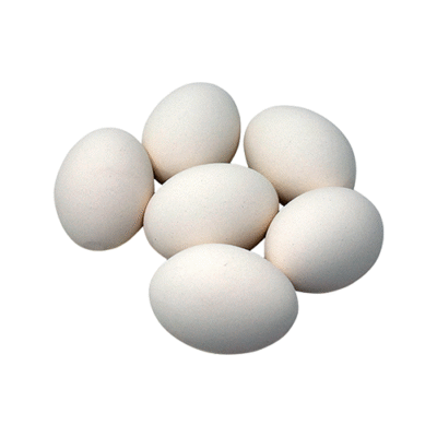 Ovo Jumbo Branco