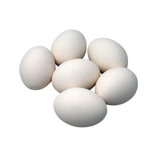 Ovo Jumbo Branco