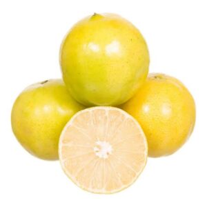 Laranja Lima da Pérsia