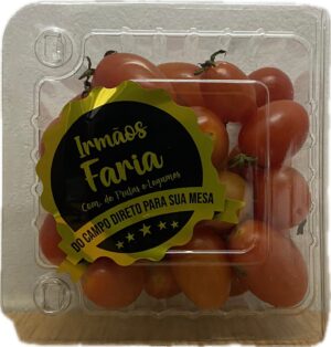 Tomatinho Bdj-180g